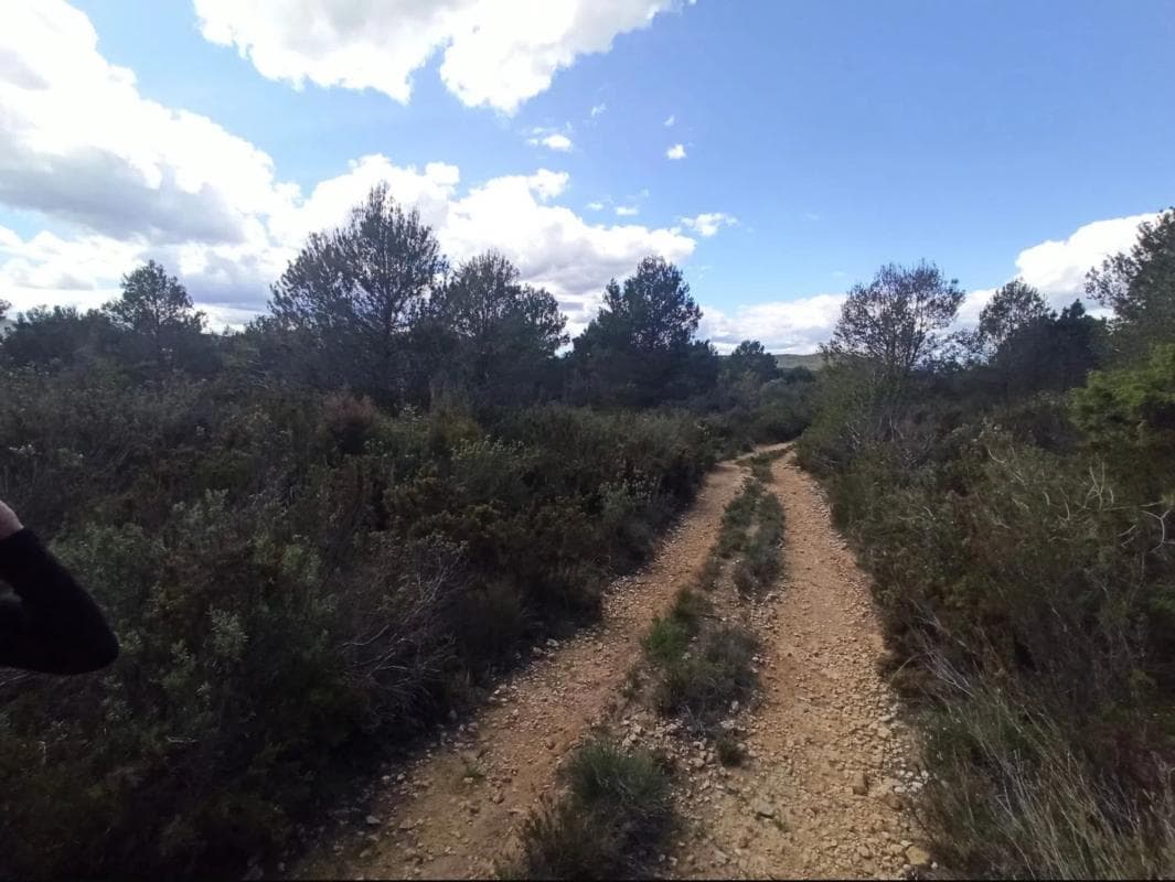 Terreno en venta en Vall de Gallinera, Alicante photo 5