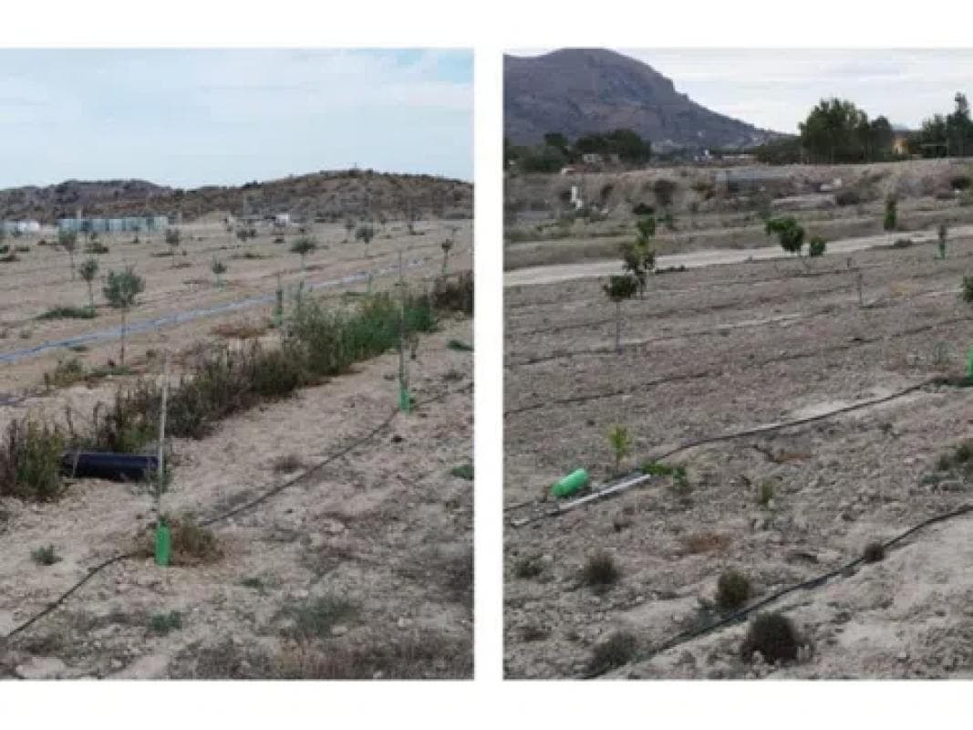 Terreno en venta en La Alcoraya, Alicante photo 4
