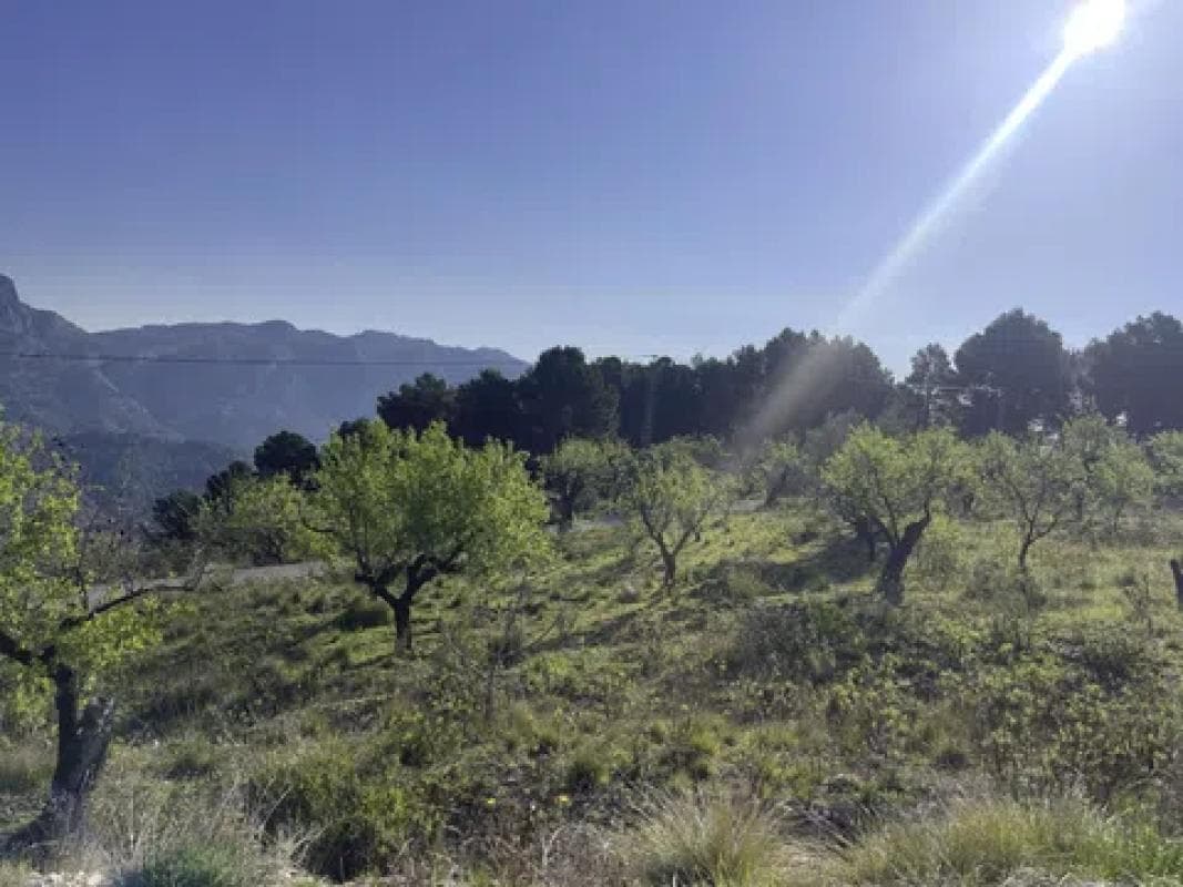 Terreno en venta en Benifato, Alicante photo 2