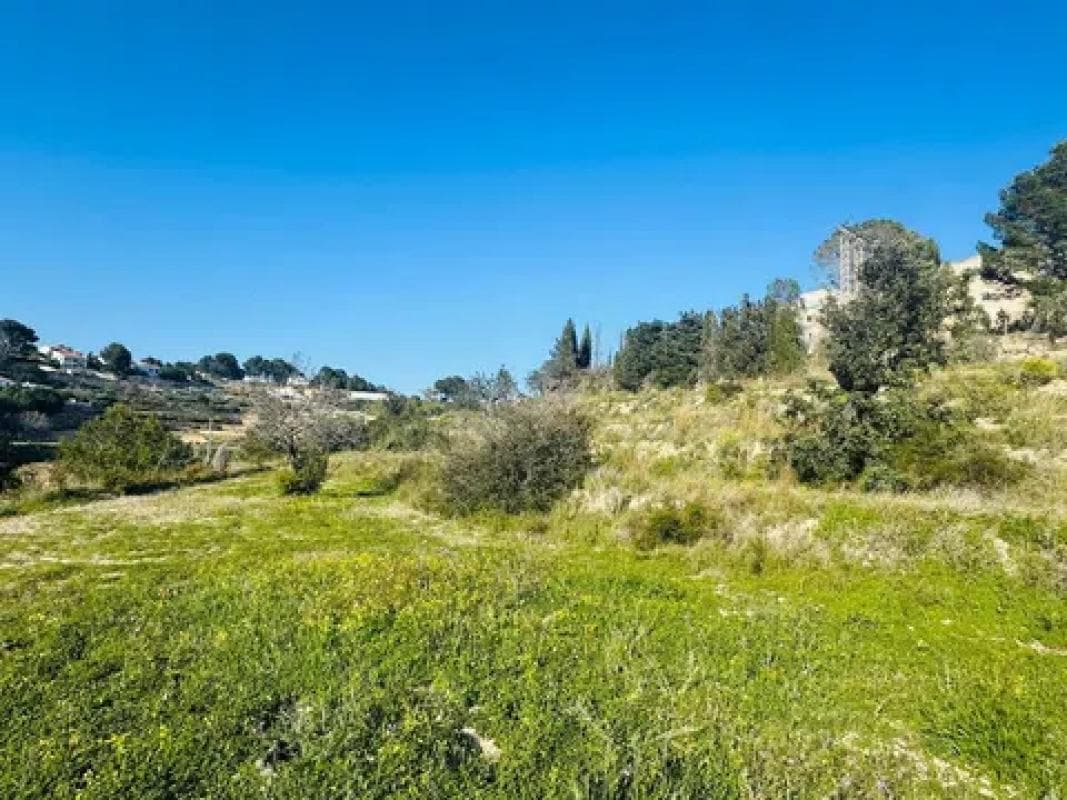 Property photo 4