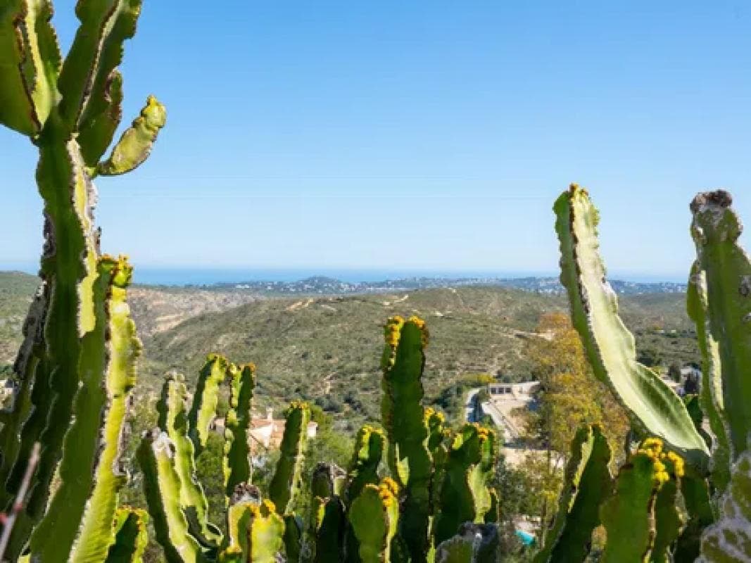 Propiedades en venta y alquiler en España photo 5