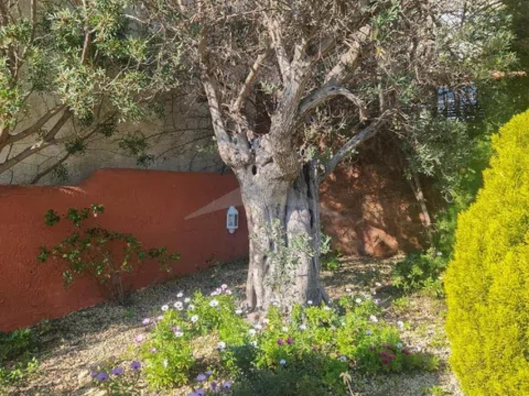 Propiedades en venta y alquiler en España photo 4
