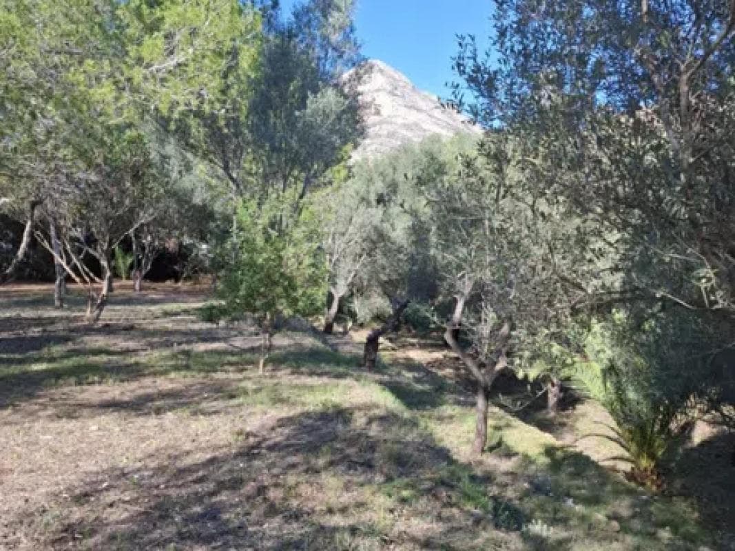 Property photo 3