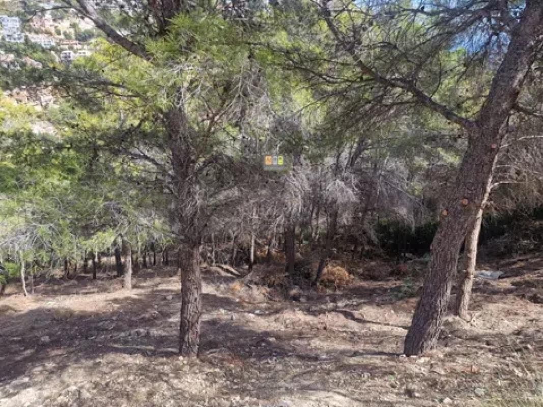 Terreno en venta en Altea, Alicante photo 3