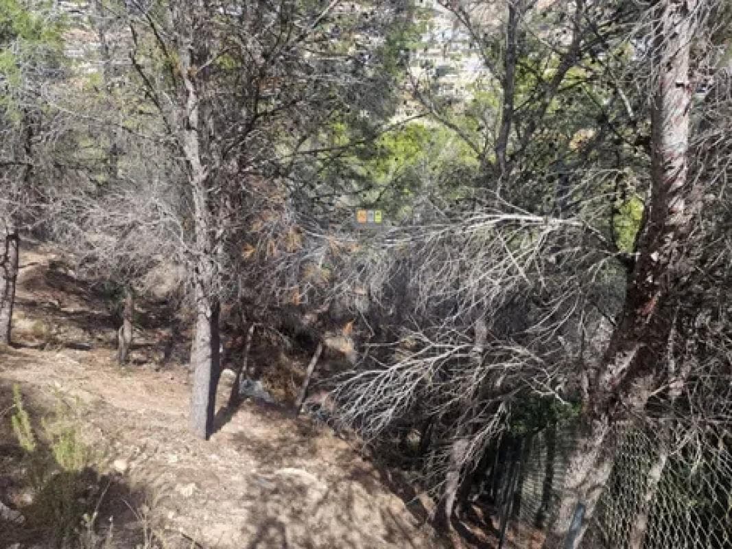 Terreno en venta en Altea, Alicante photo 4