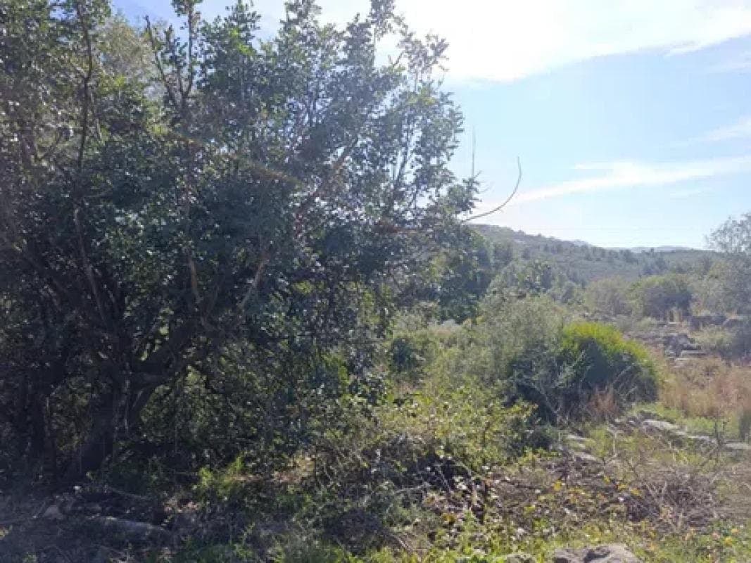 Terreno en venta en Rafol de Almunia, Alicante photo 2