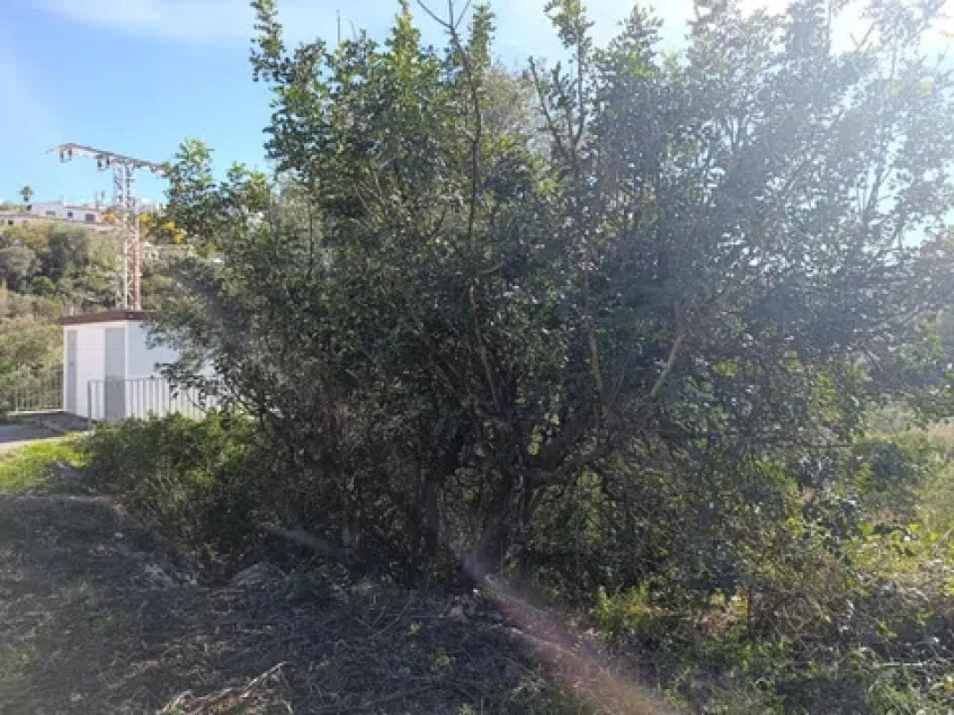 Terreno en venta en Rafol de Almunia, Alicante photo 3