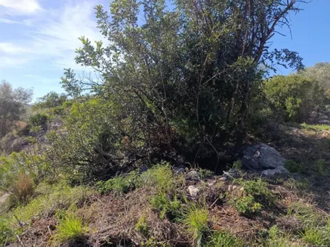 Terreno en venta en Rafol de Almunia, Alicante photo 4