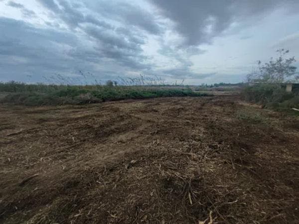 Terreno en Los Montesinos photo 1