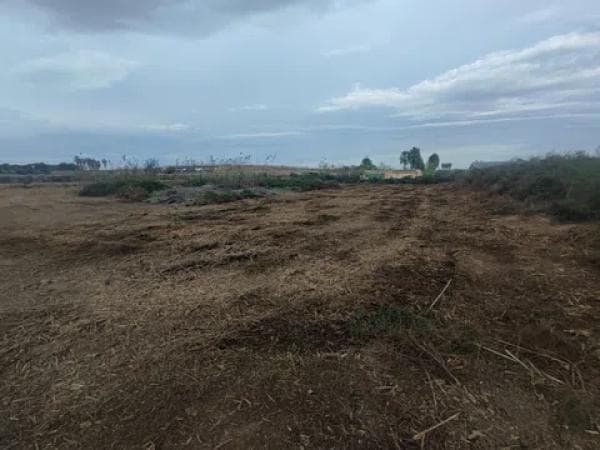Terreno en Los Montesinos photo 3