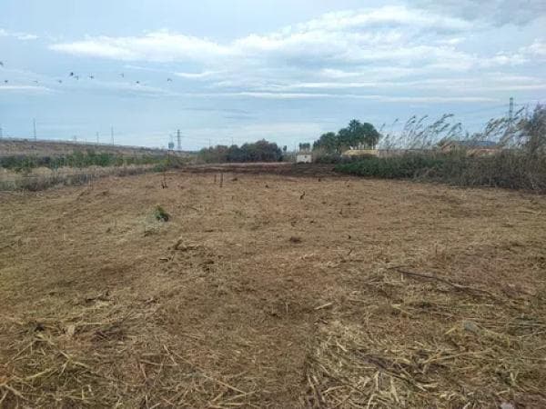 Terreno en Los Montesinos photo 4