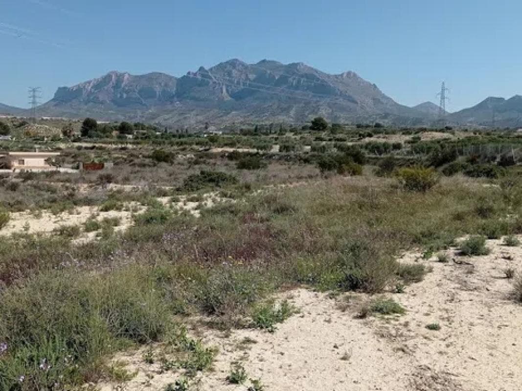 Property photo 3