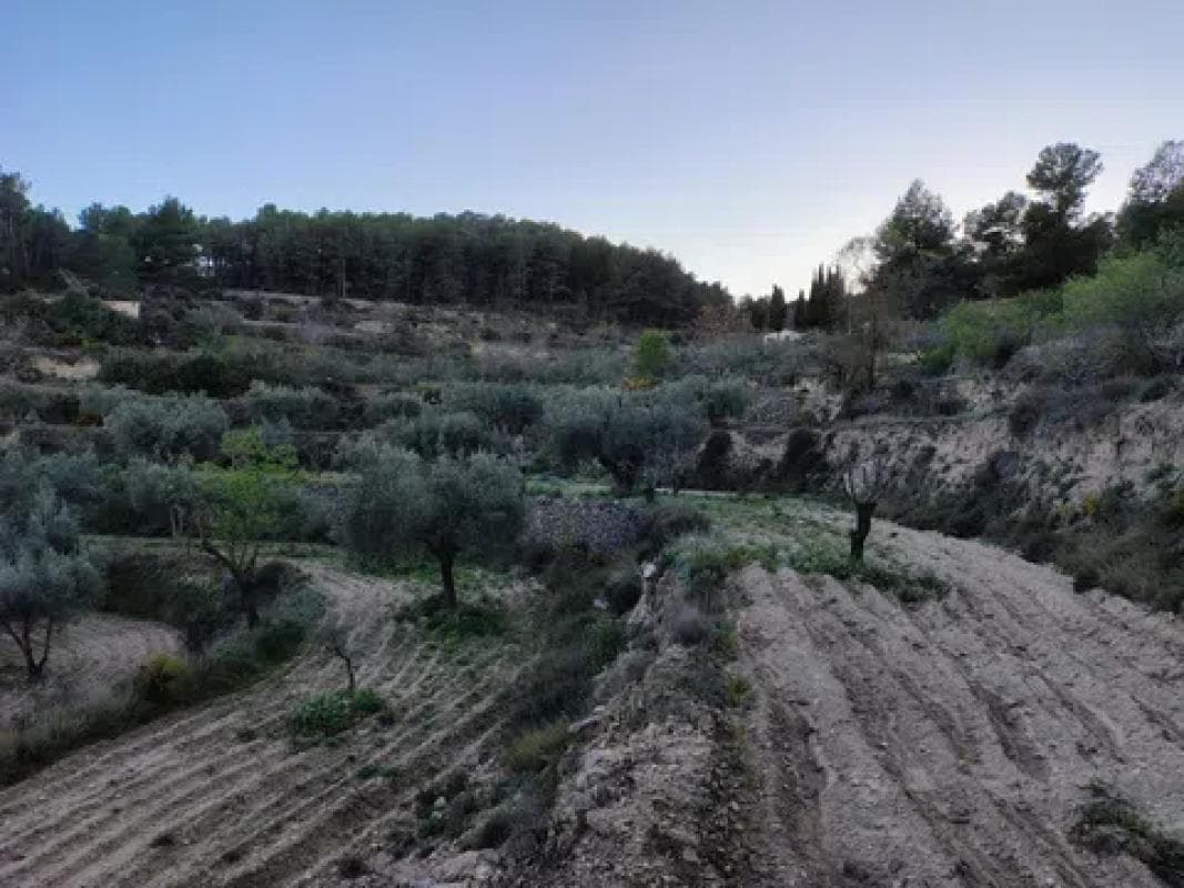 Property photo 4