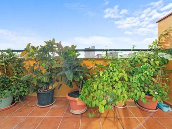 Duplex for sale on AV CEDRON, Málaga thumbnail 2