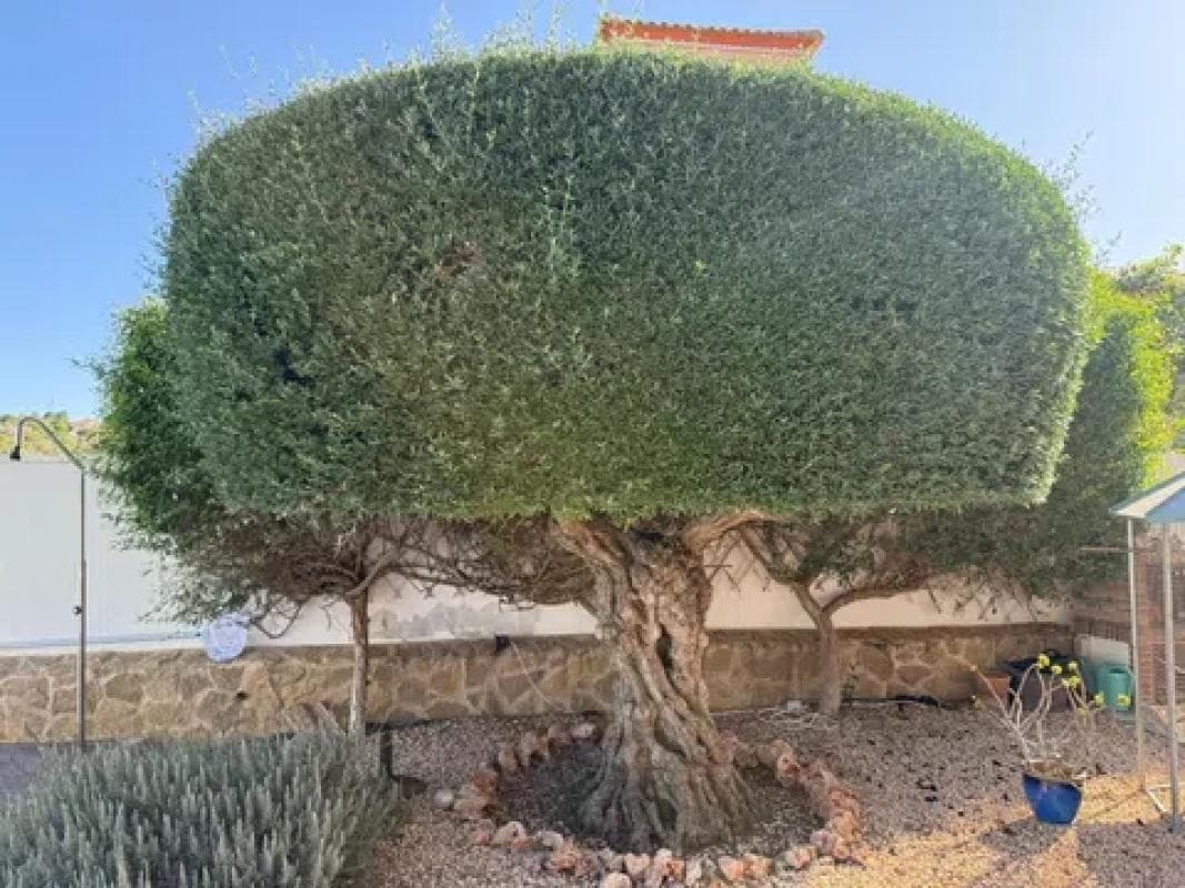 Propiedades en venta y alquiler en España photo 5