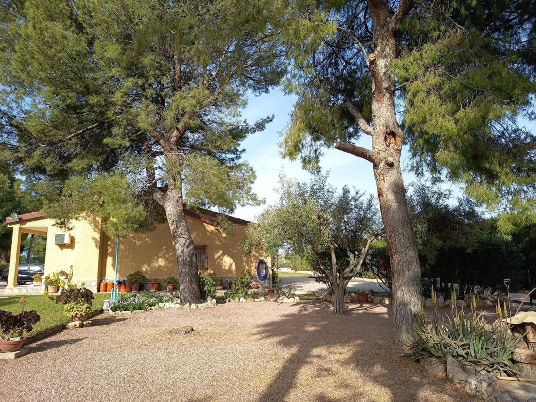 Venta de finca rústica en Centro , Mutxamel photo 3