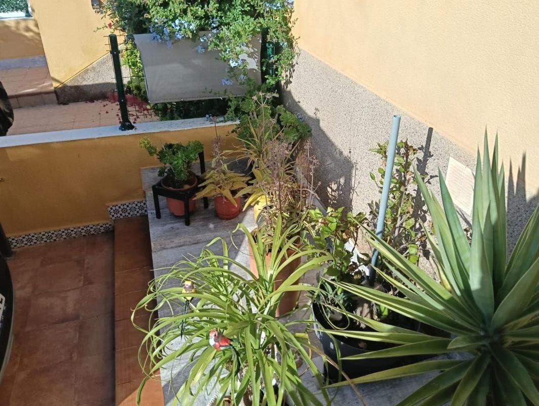 Venta de piso en Los Montesinos, Los Montesinos
photo 5