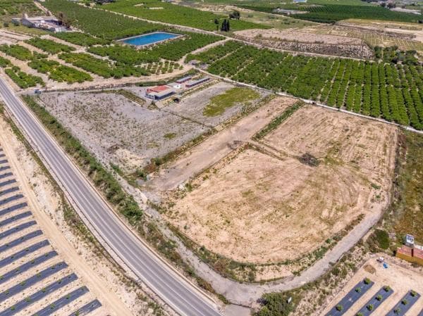 Rustic farm for sale in Los Montesinos , Los Montesinos photo 1