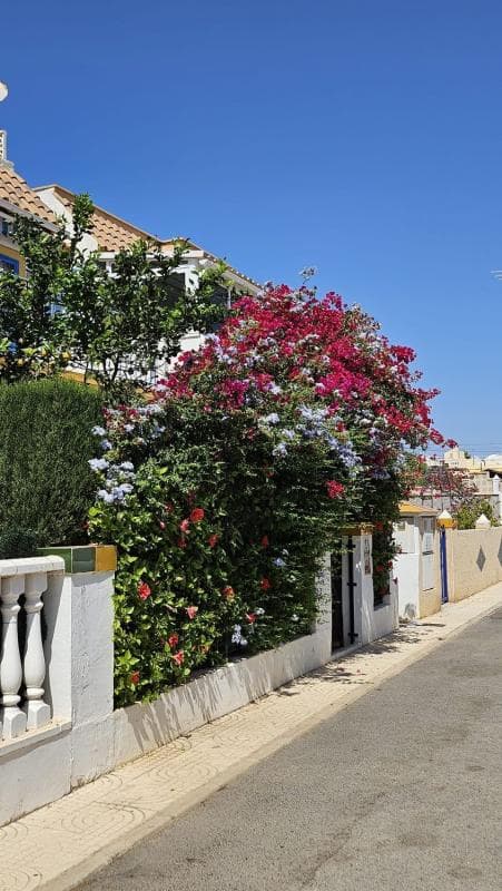 Venta de piso en Calle Victoria s/n, Orihuela
photo 5