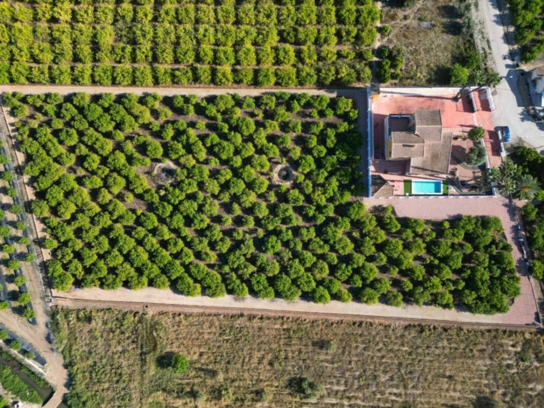 Venta de finca rústica en Desamparados-Hurchillo-Torremendo , Orihuela photo 3