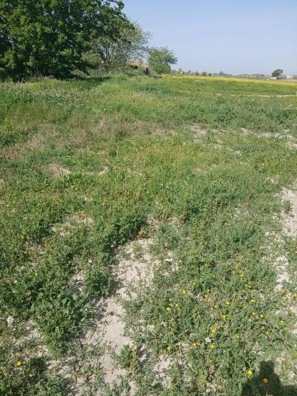 Terreno en venta en San Fulgencio, Alicante photo 2