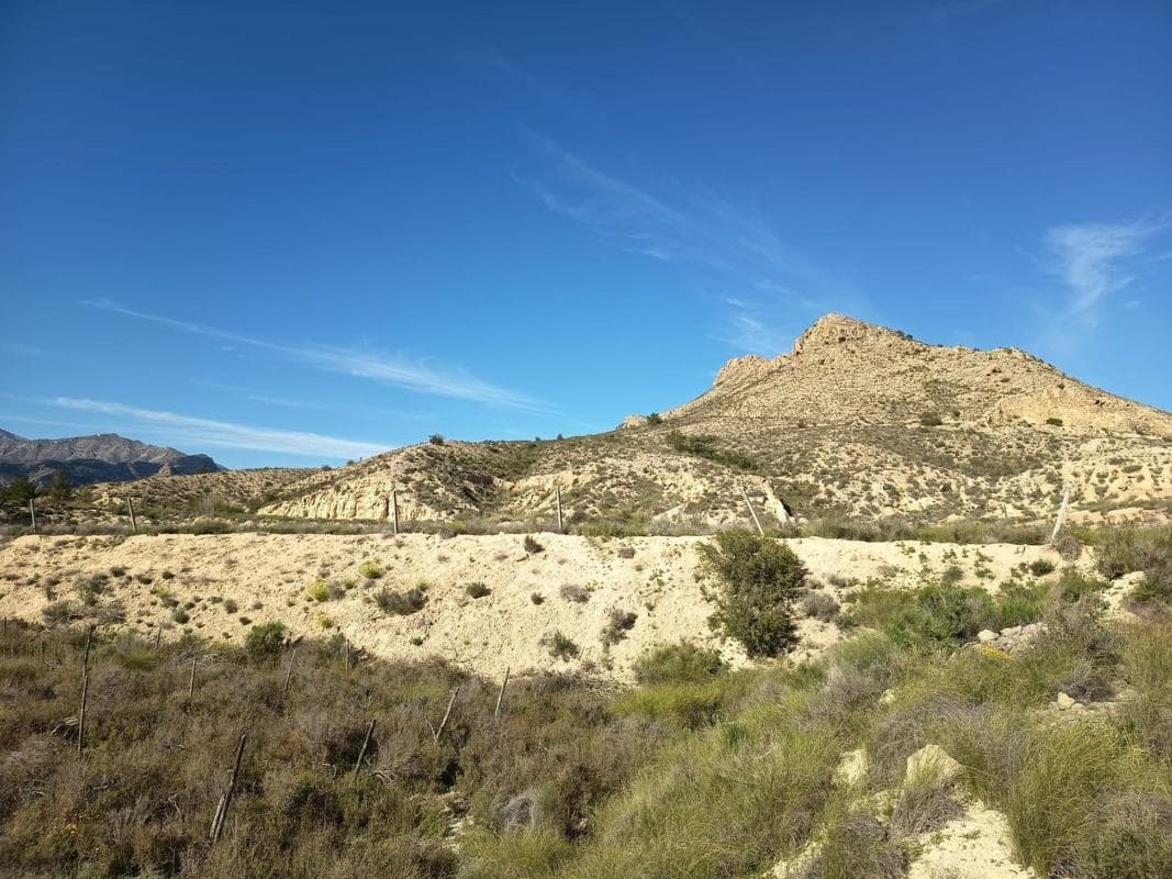 Terreno en venta en Cañada del Fenollar, Alicante photo 2
