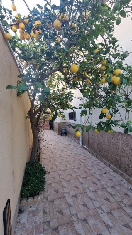 Venta de chalet independiente en Barrio Los Balcones - Los Altos del Edén, Torrevieja
photo 5