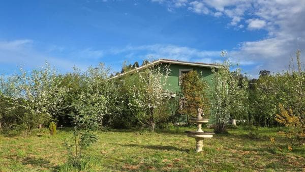 Casa rural photo 4