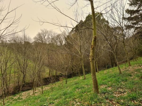 Casa de pueblo en Aldea Santa María de Aña, 12 thumbnail 2