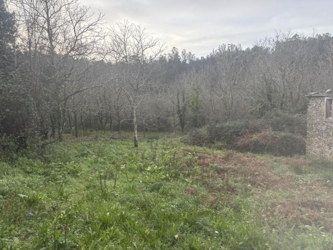 Venta de finca rústica en Lugar Portobo, 1 Q , Ortigueira photo 3