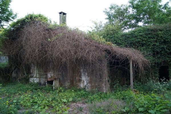 Casa independiente en Romaris s/n thumbnail 1