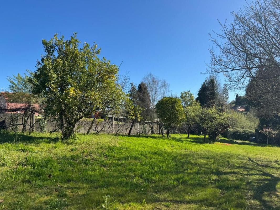 Venta de finca rústica en Raxas , Bergondo photo 5
