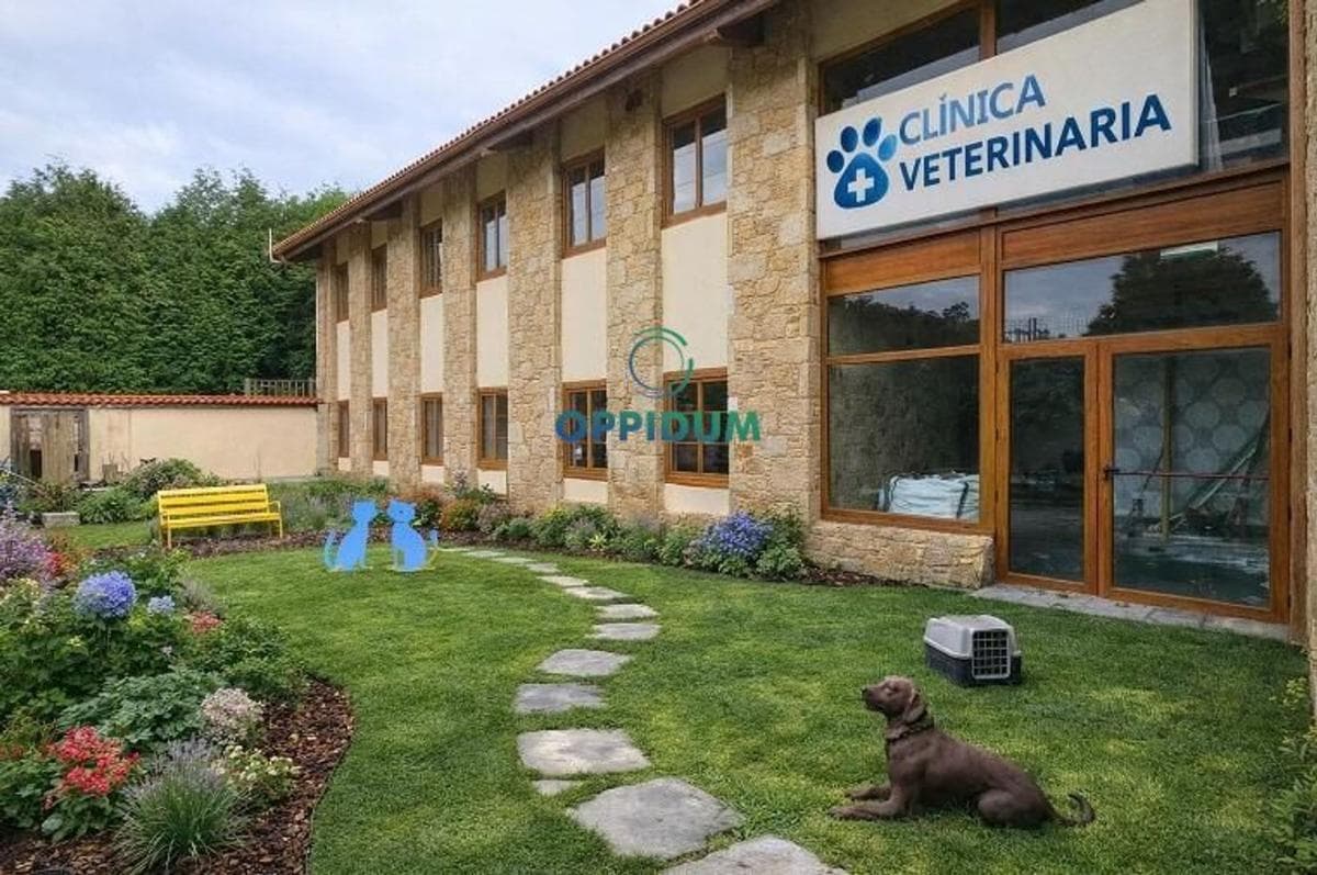 Propiedades en venta y alquiler en España photo 5
