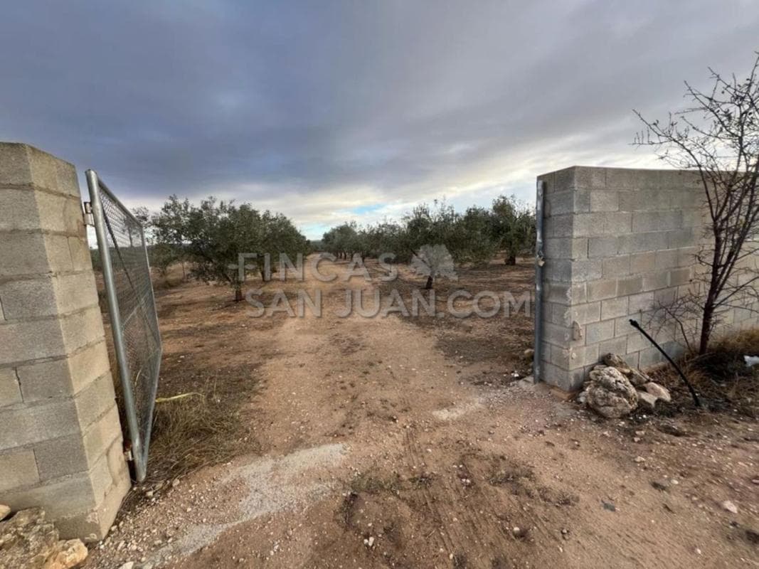 Property photo 5