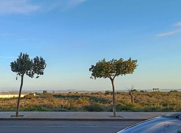 Local en Crevillente photo 2