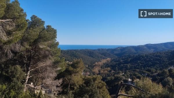 Apartment for rent in , Barcelona thumbnail 2