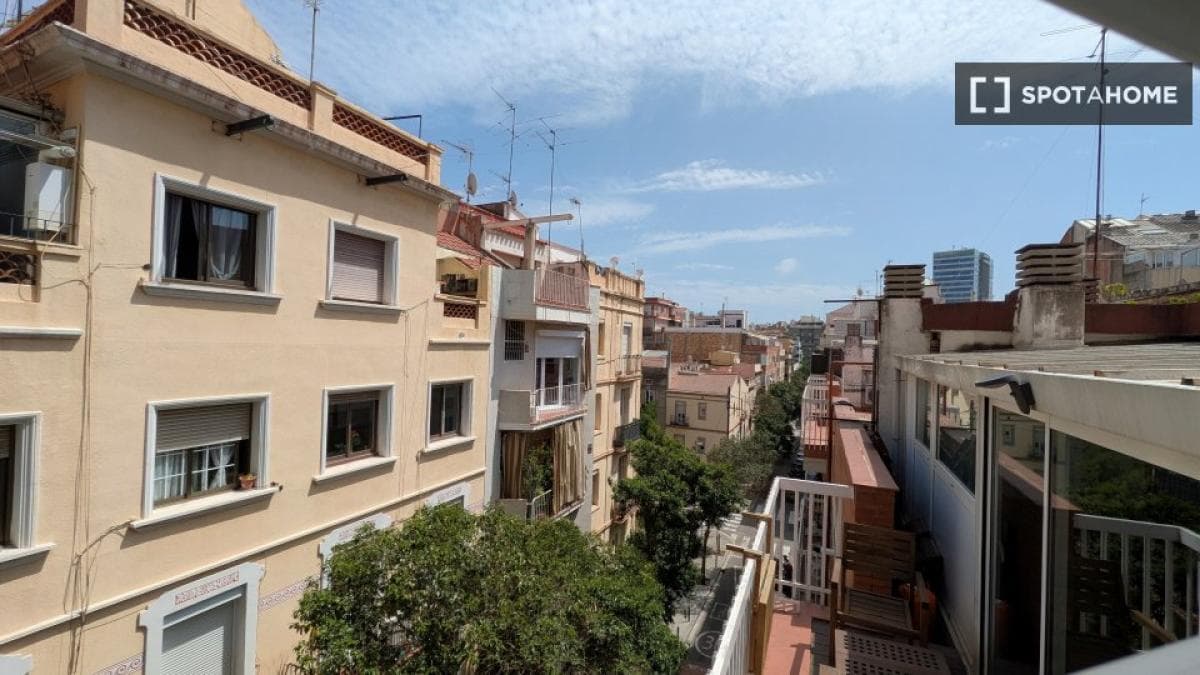 Propiedades en venta y alquiler en España photo 4