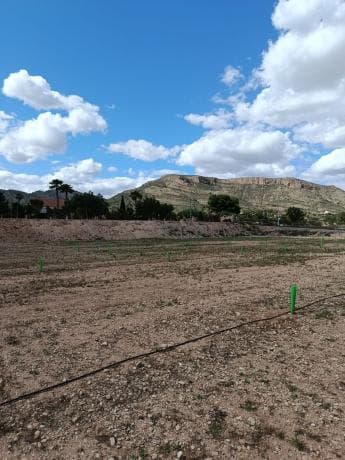 Terreno en cv840, 20, La Romana photo 1