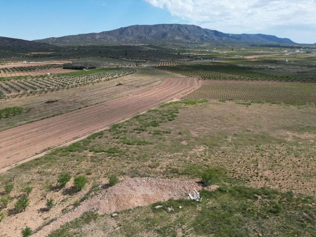 Terreno en venta en Pinoso, Alicante photo 2