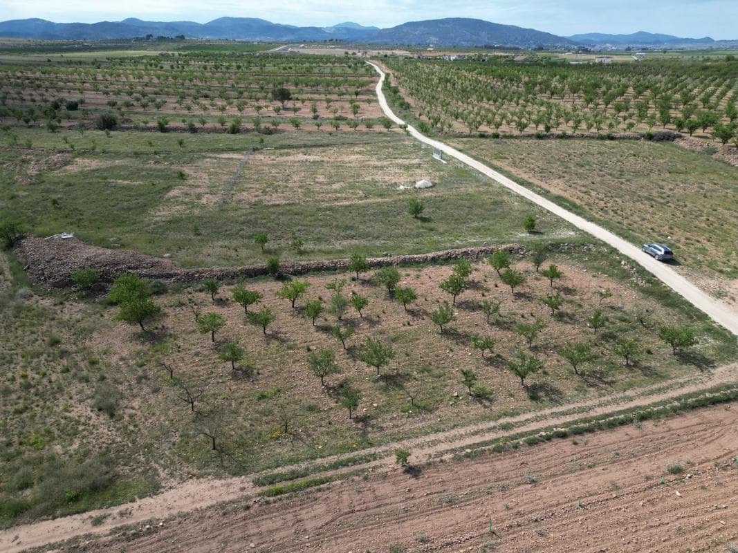 Terreno en venta en Pinoso, Alicante photo 4
