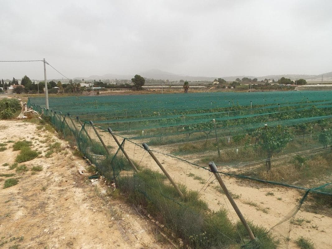 Terreno en venta en Monforte del Cid, Alicante photo 2