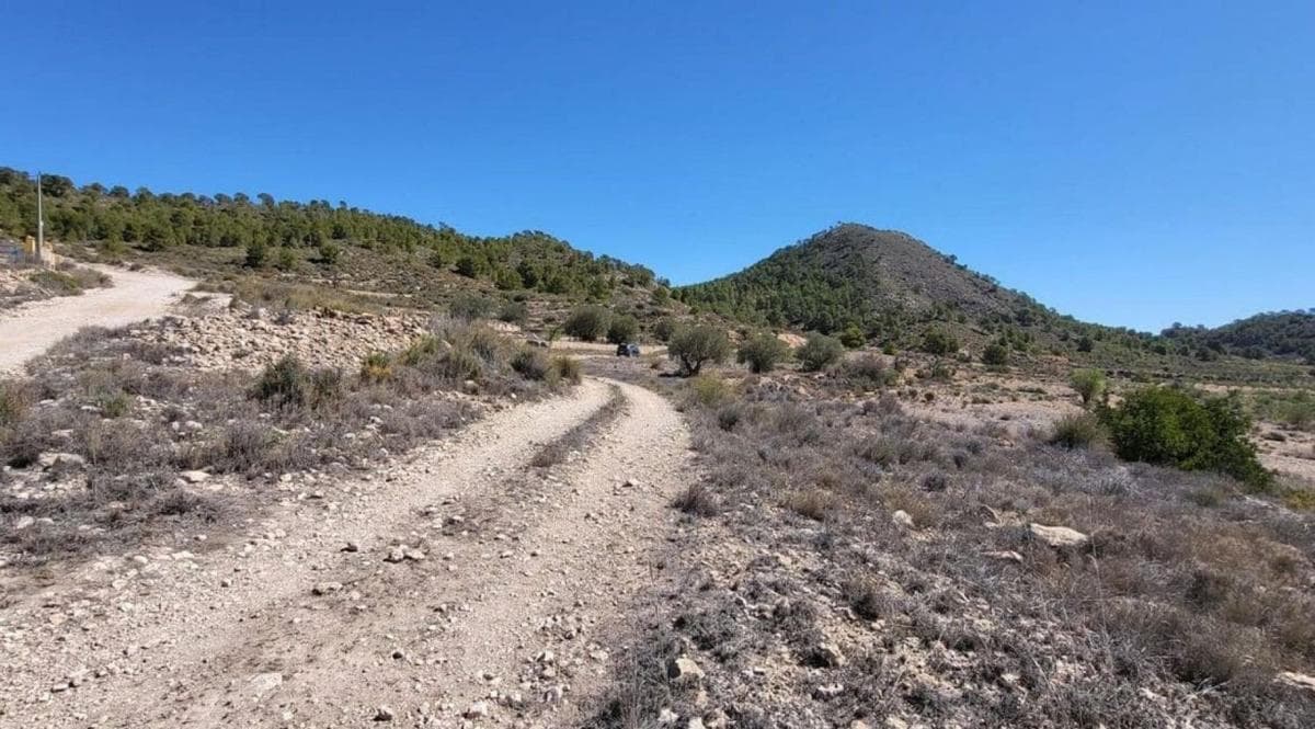Terreno en venta en Monovar, Alicante photo 2