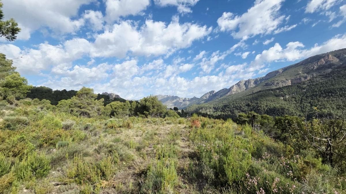 Terreno en venta en Guadalest, Alicante photo 5