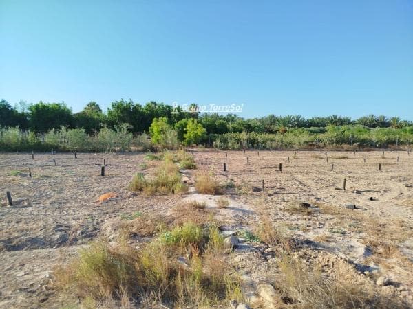 Terreno en La Hoya-Daimes-El Derramador, Elche / Elx thumbnail 1
