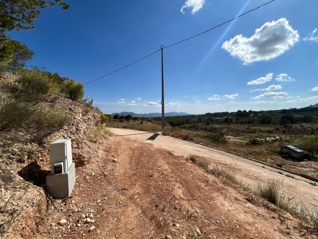 Terreno en venta en Crevillente, Alicante photo 4