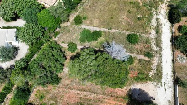 Terreno en Calle Taure, 2 I, Les Rotes/Las Rotas, Denia photo 1