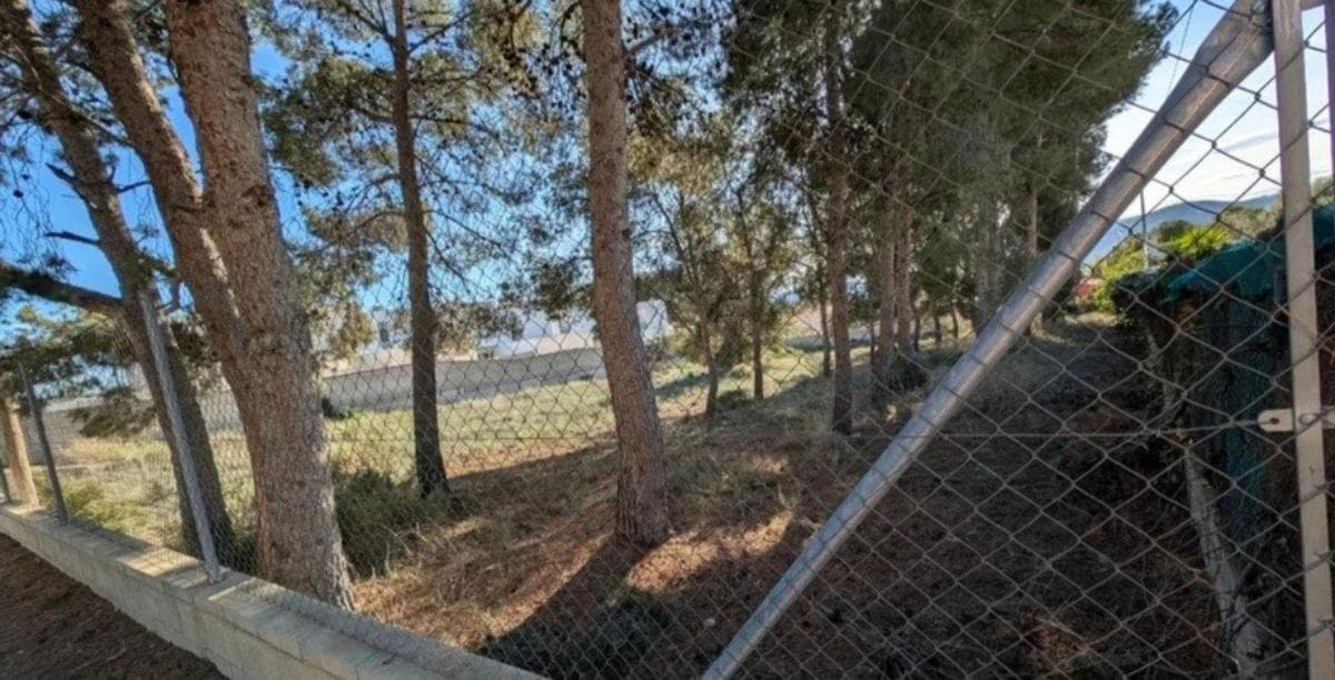 Terreno en venta en Petrer, Alicante photo 4