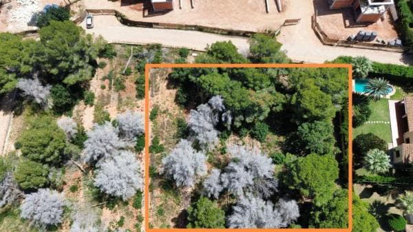 Terreno en Calle Verge s/n, Les Rotes/Las Rotas, Denia photo 1