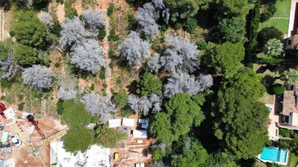Terreno en Calle Verge s/n, Les Rotes/Las Rotas, Denia thumbnail 2