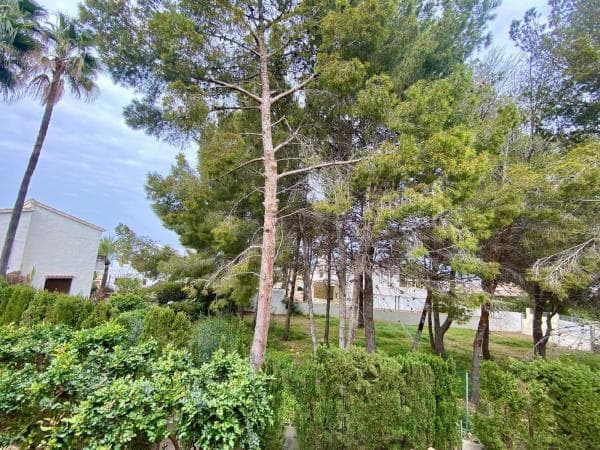 Terreno en Calle Fènix, Les Rotes/Las Rotas, Denia thumbnail 1